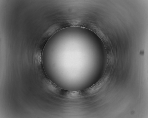 X0000102850479200808181422