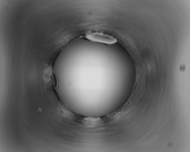 X0000102850480200808181422