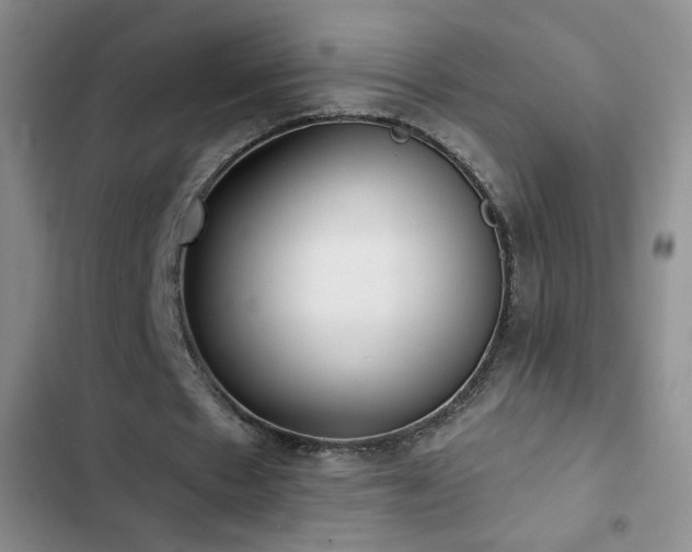 X0000102850481200808181421