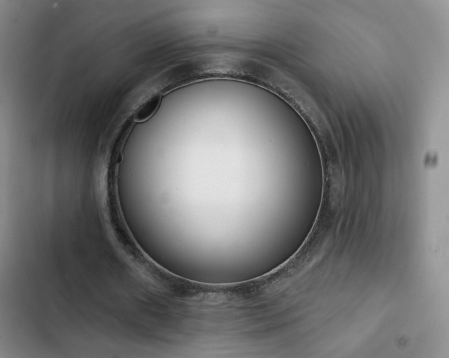 X0000102850482200808181421
