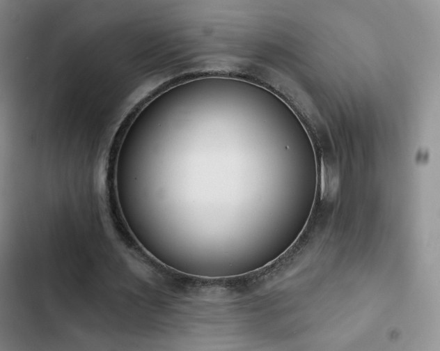 X0000102850483200808181421