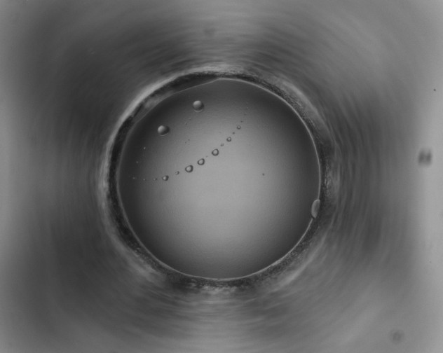 X0000102850484200808181421