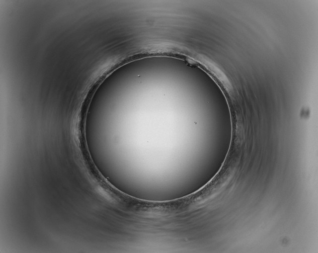 X0000102850485200808181421