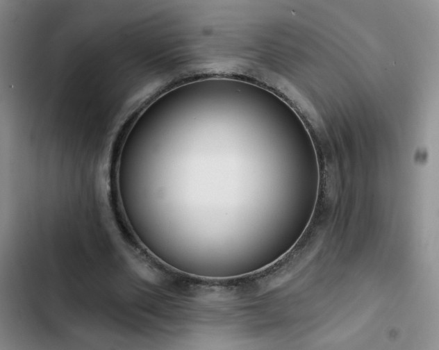 X0000102850486200808181421