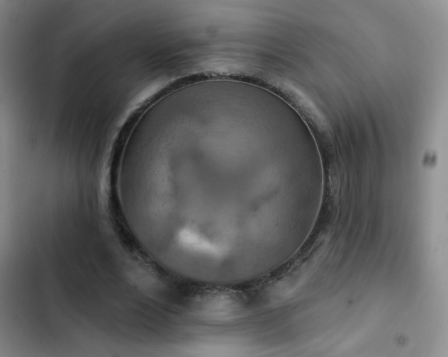 X0000102850488200808181421