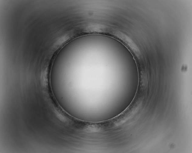 X0000102850489200808181421