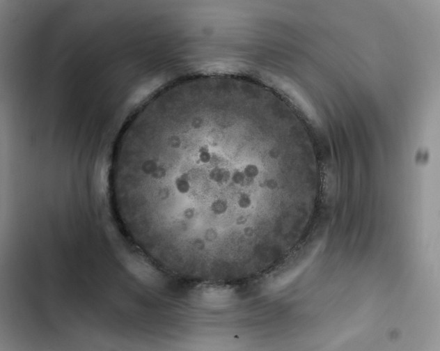 X0000102850491200808181421