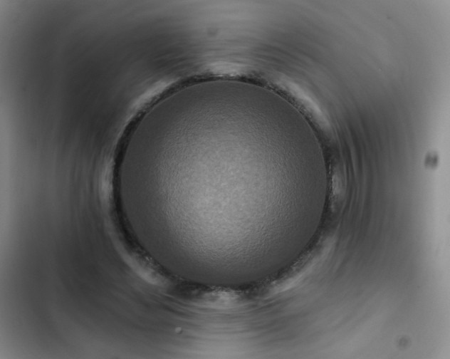 X0000102850492200808181421
