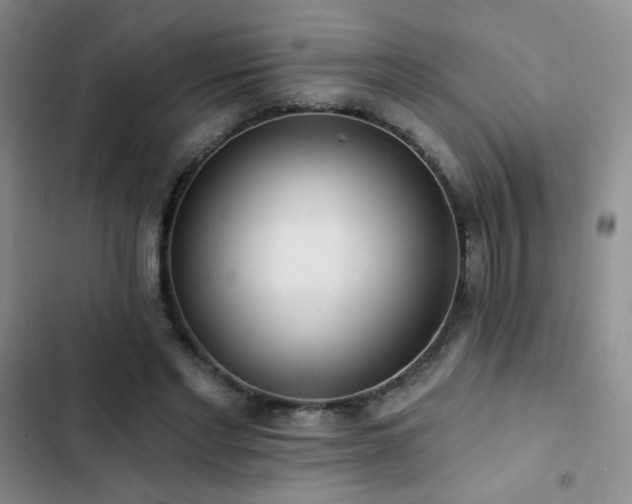X0000102850493200808181421