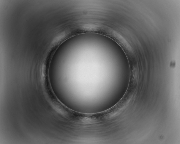 X0000102850494200808181421