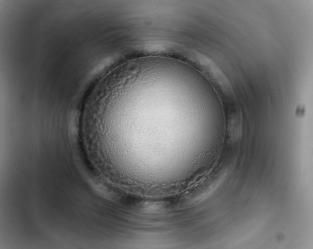X0000102850495200808181421
