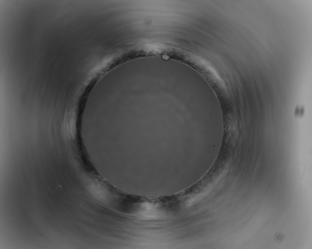X0000102850496200808181421