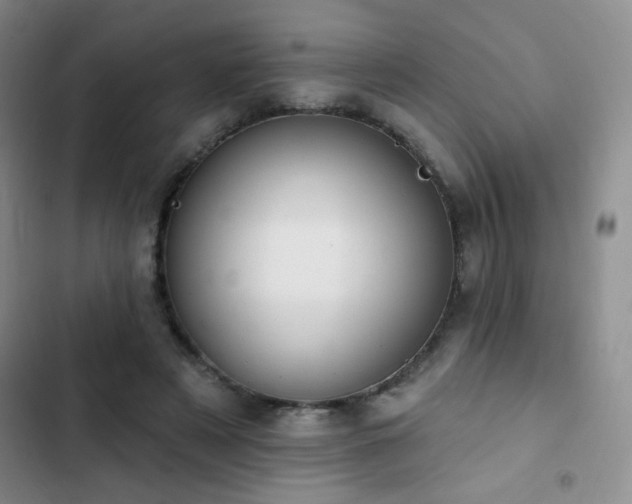 X0000102850497200808181421