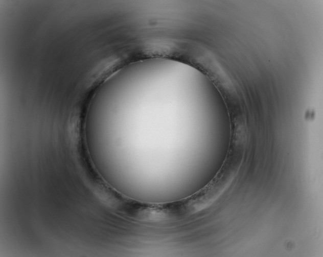 X0000102850498200808181421