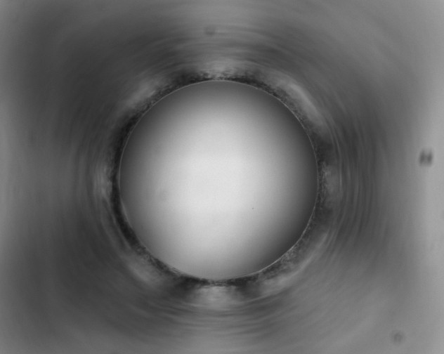 X0000102850499200808181421