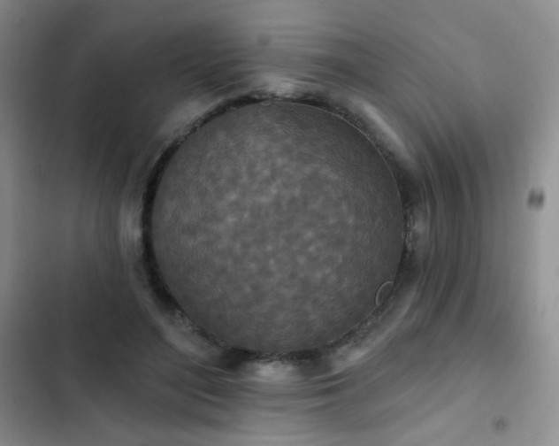 X0000102850500200808181421