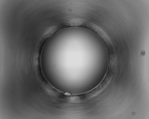 X0000102850501200808181421