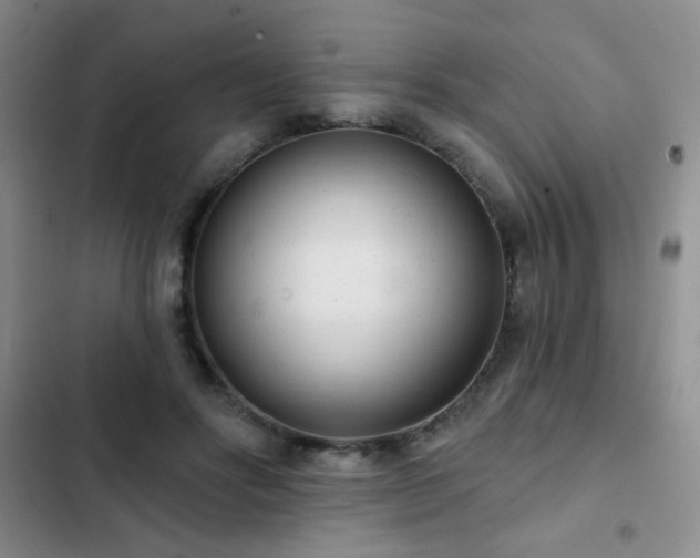X0000102850502200808181421