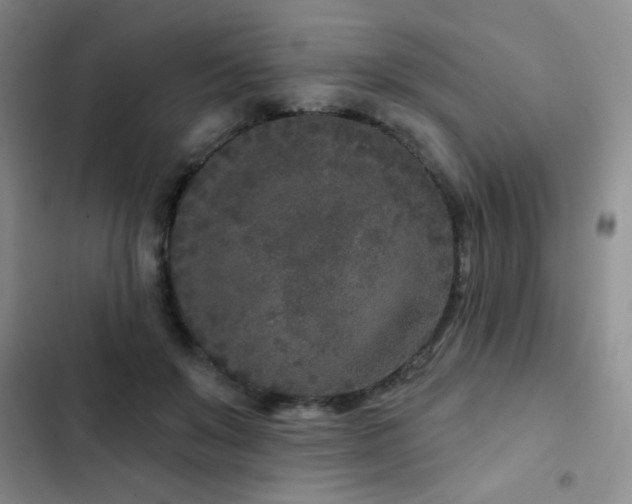 X0000102850503200808181421