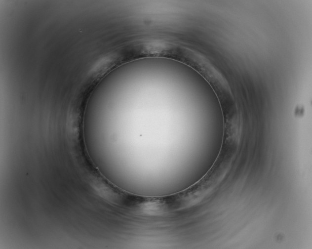 X0000102850505200808181420
