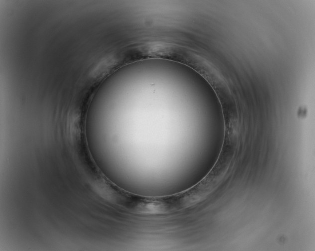 X0000102850506200808181420
