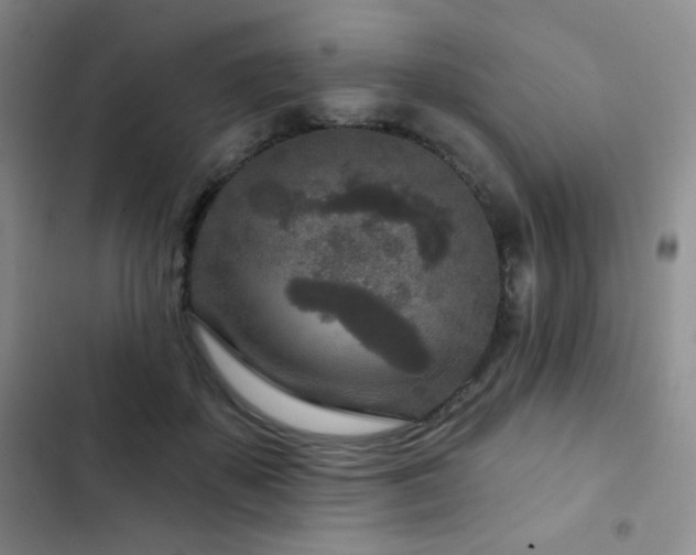 X0000102850507200808181420