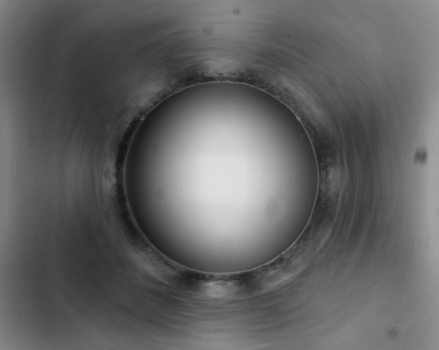 X0000102850508200808181420