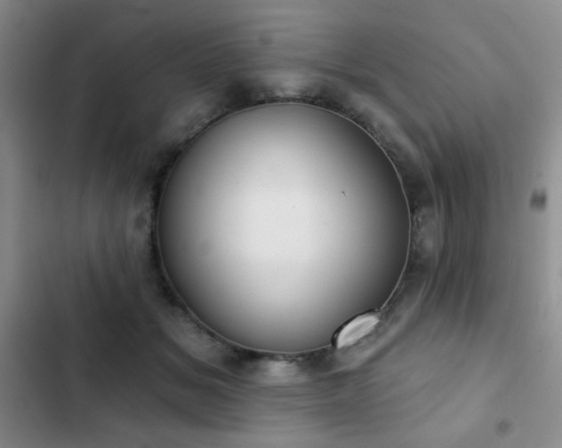 X0000102850509200808181420