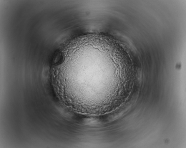 X0000102850511200808181420