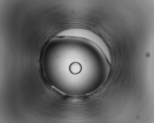 X0000102850512200808181420