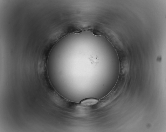X0000102850515200808181420