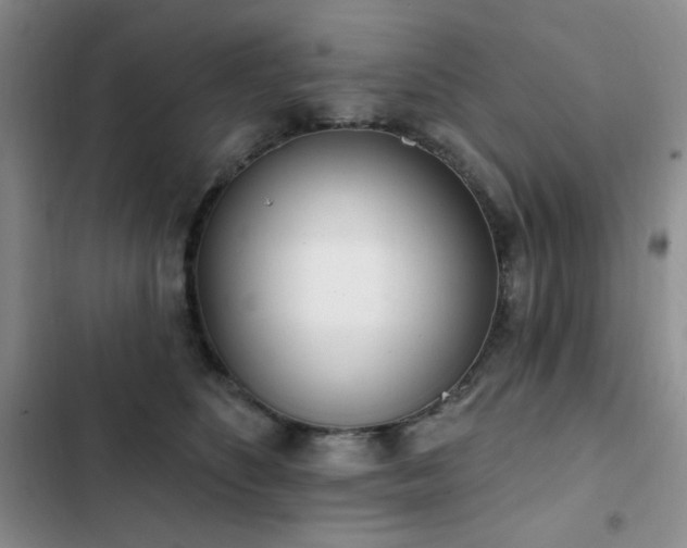 X0000102850516200808181420