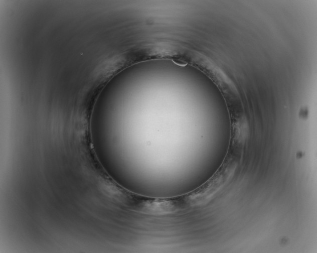 X0000102850517200808181420