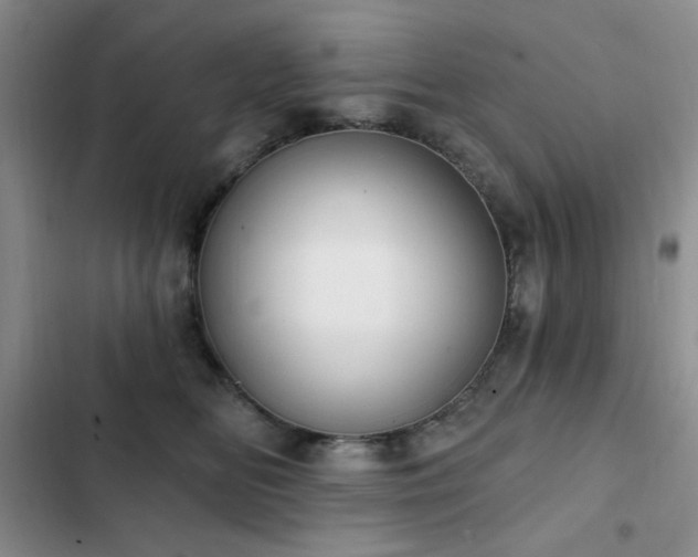 X0000102850518200808181420