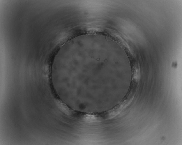 X0000102850519200808181420