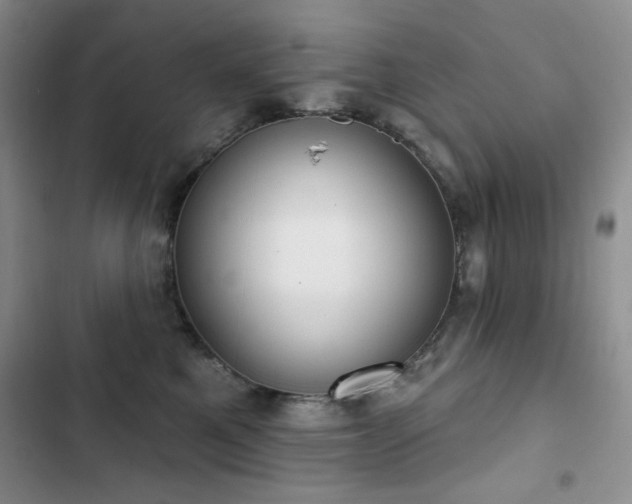 X0000102850521200808181420