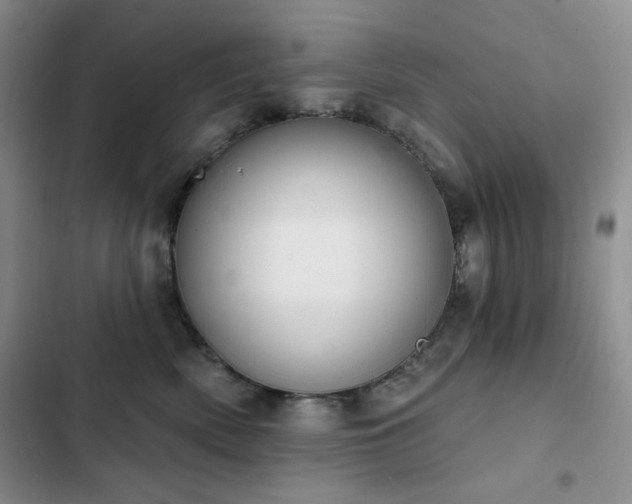 X0000102850522200808181420