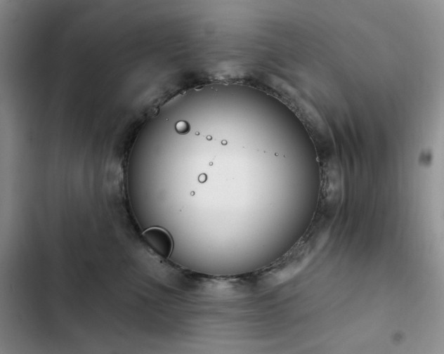 X0000102850523200808181420