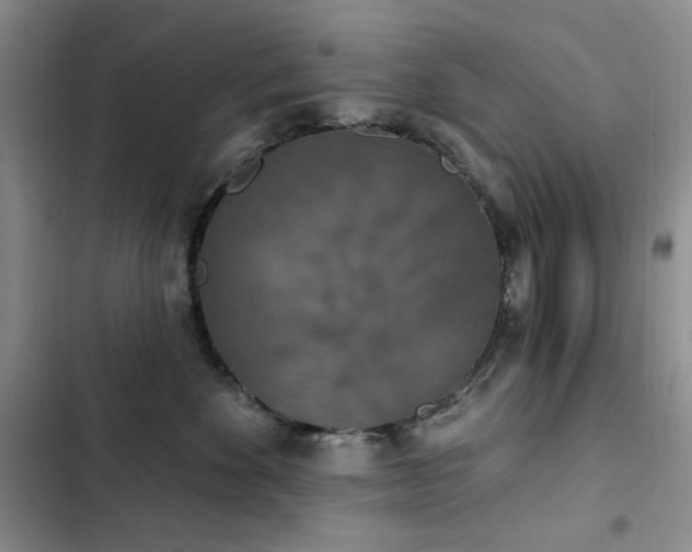 X0000102850524200808181420