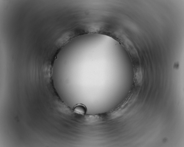X0000102850525200808181420