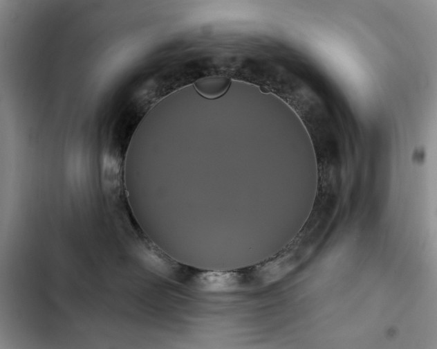 X0000102850526200808181420