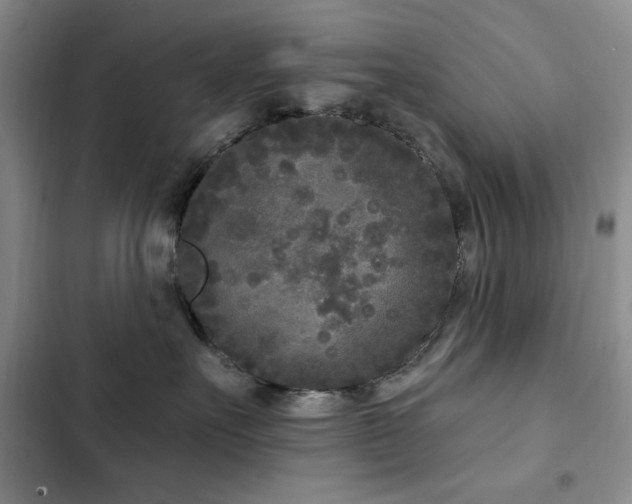 X0000102850527200808181420