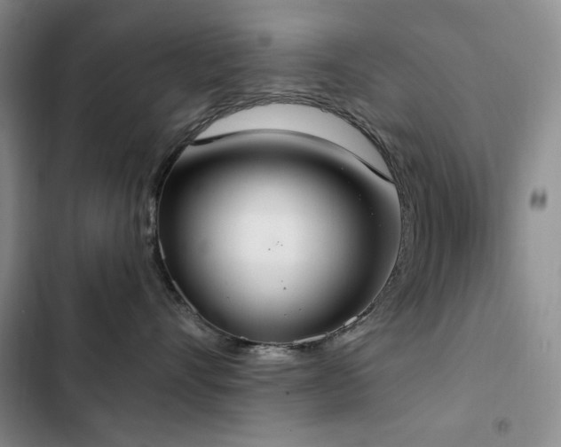 X0000102850528200808181420
