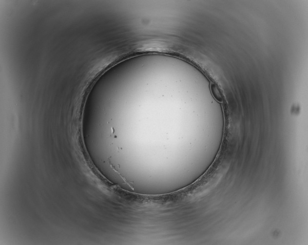 X0000102850529200808181420