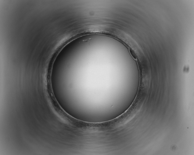 X0000102850530200808181420