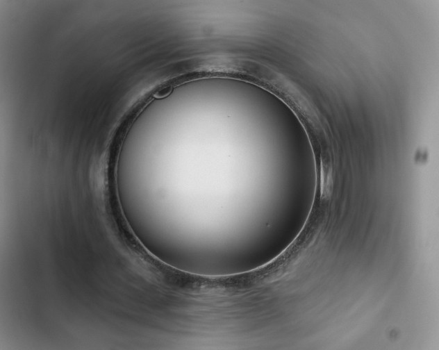 X0000102850531200808181420