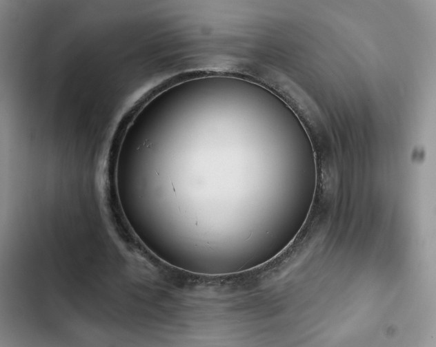 X0000102850532200808181420
