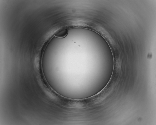 X0000102850533200808181420