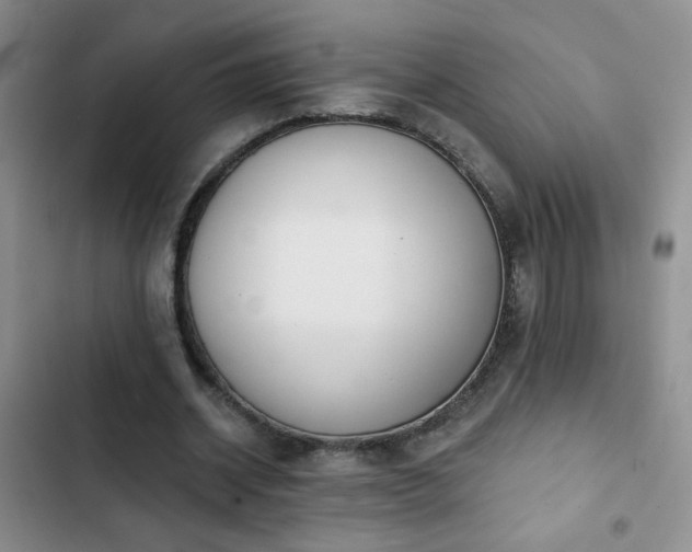 X0000102850534200808181420