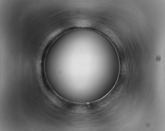X0000102850535200808181420